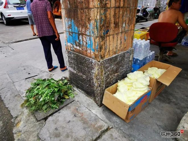 钦州）—东盟海上龙舟公开赛即将开赛！pg电子模拟器试玩2025年广西（(图5)