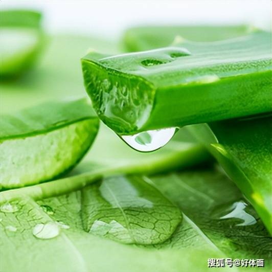 茸抗皱系列对抗初老、横扫皱纹pg电子试玩